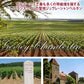 赤ワイン フランス ブルゴーニュ ジュヴレ・シャンベルタン・プルミエ・クリュ・レ・コルボー 2014年 赤ワイン 辛口 750ml ワイン ワインセット