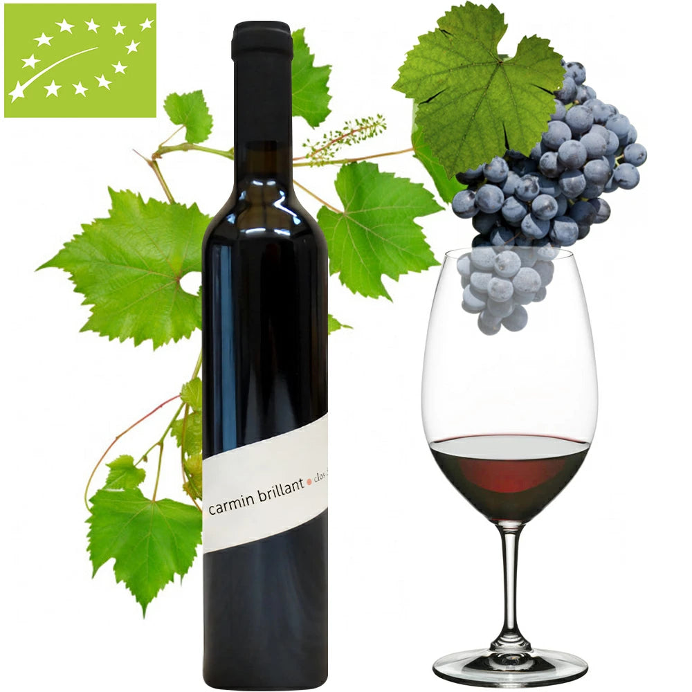 自然派 赤ワイン オーガニック ビオワイン ハーフボトル 500ml 2本 BIO フランス ローヌ 2015 2018 赤ワイン 辛口 ワイン ワインセット
