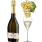 グラス付き ワイン グラス スパークリングワイン フランス 辛口 750ml グラス クレマン・ド・ボルドー スパークリング シャンパングラス 2脚 ドイツ